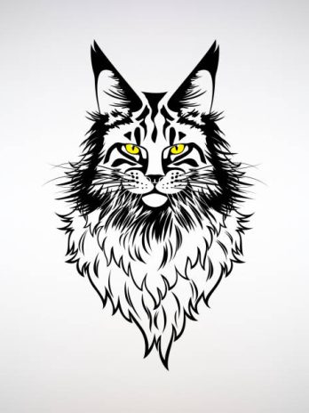 sketsa Tatapan Si Kucing