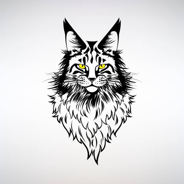 sketsa Tatapan Si Kucing